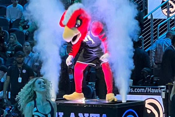 Wait!! The Hawks mascot makes how much money?!